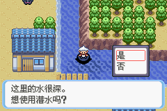 《口袋妖怪蛇纹木》二周目图文攻略
