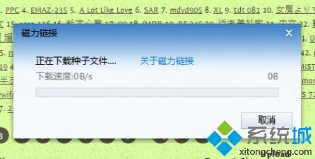 torrentkitty怎么打开？电脑打开torrentkitty的方法