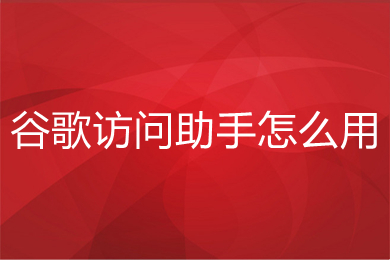 谷歌访问助手怎么用(谷歌访问助手的详细使用教程)