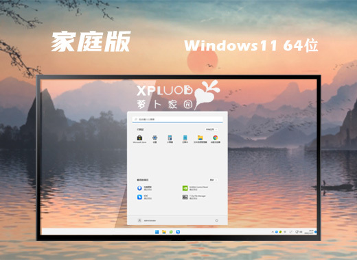 萝卜家园 Ghost Win11 64位 最新家庭版系统 v2022.10