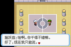 《口袋妖怪蛇纹木》二周目图文攻略