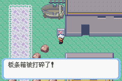 《口袋妖怪蛇纹木》二周目图文攻略