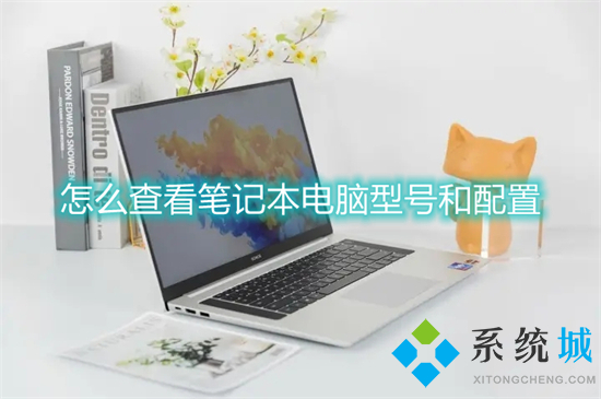 怎么查看笔记本电脑型号和配置(笔记本配置在哪看)