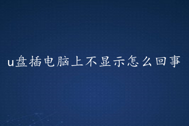 u盘插电脑上不显示怎么回事(u盘插电脑上不显示的解决办法)
