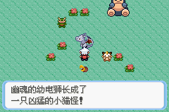 《口袋妖怪蛇纹木》二周目图文攻略