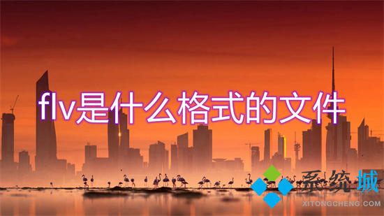 flv是什么格式的文件(flv和mp4什么区别)