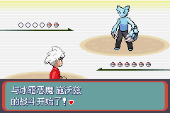 《口袋妖怪蛇纹木》二周目图文攻略