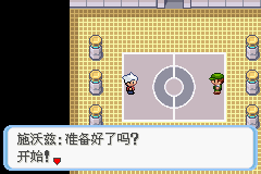 《口袋妖怪蛇纹木》二周目图文攻略