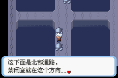 《口袋妖怪蛇纹木》二周目图文攻略