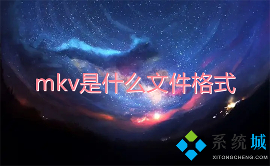 mkv是什么文件格式(mkv和mp4什么区别)
