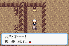 《口袋妖怪蛇纹木》二周目图文攻略