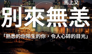 别来无恙歌词(别来无恙歌词介绍)