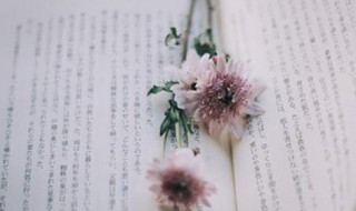 qq个性组名(qq个性组名大全)
