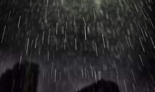 美丽的夜雨作文(美丽的夜雨作文分段示例)