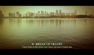我一直都在流浪可我不曾见过海洋什么歌(残酷月光的歌词)