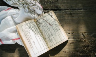荀字怎么读(荀的意思)