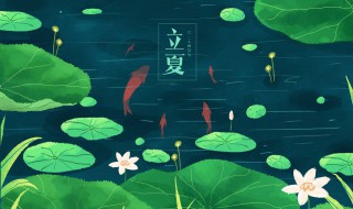 夏至未至的意思和寓意(夏至未至是什么意思)