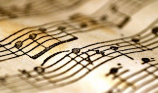 秘密的爱歌词(秘密的爱歌词全文介绍)