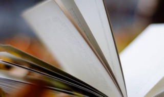 沉香如屑讲的什么故事(沉香如屑具体讲的是什么啊)