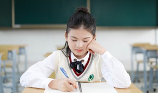 body是什么意思中文(body的意思)