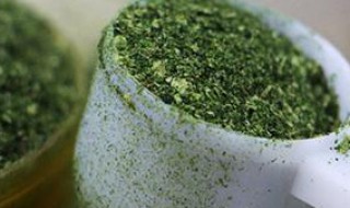 自制海藻粉(自制海藻粉的方法)