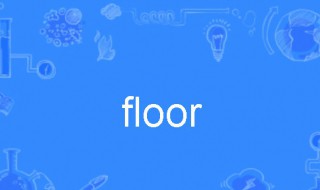 floor是什么意思(floor怎么读)