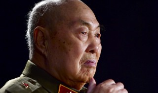 王占山个人简介(王占山的个人简介)