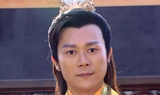 龙巡天下35大结局(电视剧龙巡天下的大结局是什么)