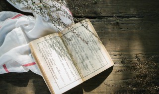 漫漫何其多有哪些小说?(漫漫何其多小说作品介绍)