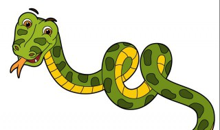 望穿秋水是什么动物(望穿秋水描述什么动物)