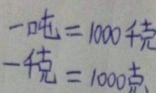一吨等于多少千克(你了解了吗)