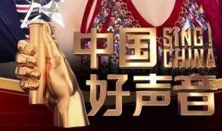 2020中国好声音在哪看(2020中国好声音在哪里可以观看)
