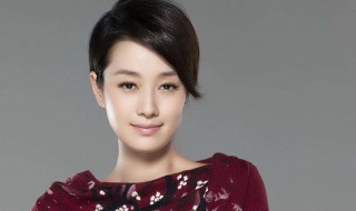 马伊琍个人资料(马伊琍个人简介)