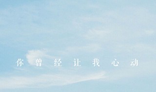 心动(歌词 心动歌词全文)