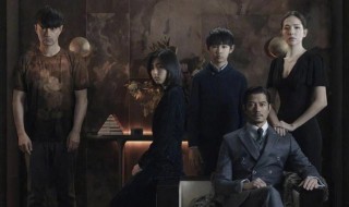 秘密访客剧情解析(秘密访客剧情简介)