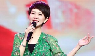 大哥你好吗歌词(甘萍大哥你好吗歌词)
