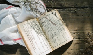 不如自挂东南枝是什么意思(其它网络上流行梗介绍)