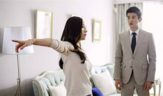 再见老婆剧情介绍(再见老婆剧情简介)