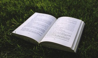 悲观的反义词(悲观的反义词有什么)