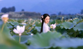 采莲曲歌词(采莲曲歌词全文)