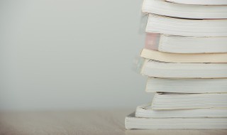 resume什么意思中文(resume的解释)
