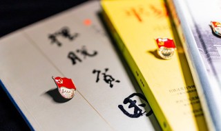 红星照耀中国每一章读书笔记(红星照耀中国每一章读书笔记分别是什么)