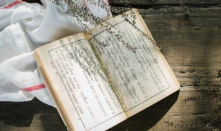康熙传位给哪个儿子(康熙传位给了谁)