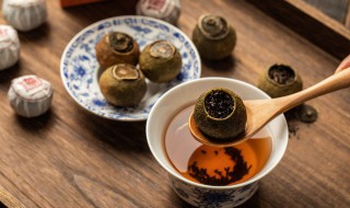 正山小种属于什么茶类(正山小种属于那种茶类)