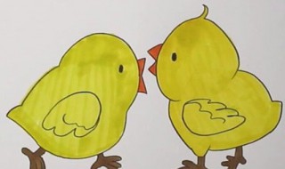 鸡怎么画(小鸡简笔画教程)