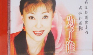为了谁原唱是谁(为了谁完整歌词)