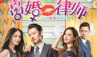 离婚律师的大结局(离婚律师简介)