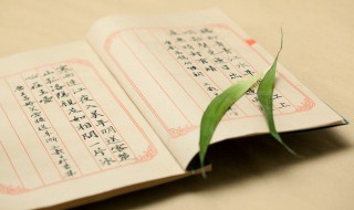 概组词(概怎么组词)