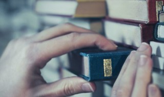 abb的三字词语(abb式的三字词语有哪些)