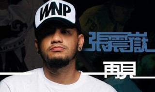 我要牢牢记住你的脸是什么歌(再见歌曲介绍)